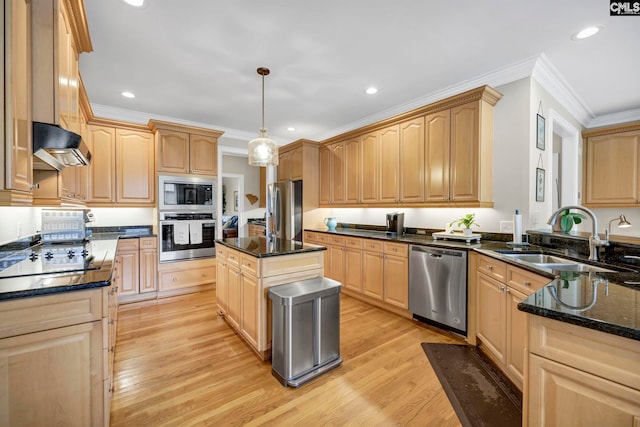 4 High Park Ct, Elgin, SC 29045 - kitchen with appliances with stainless steel finishes, a sink, under cabinet range hood, light brown cabinets, and ornamental molding