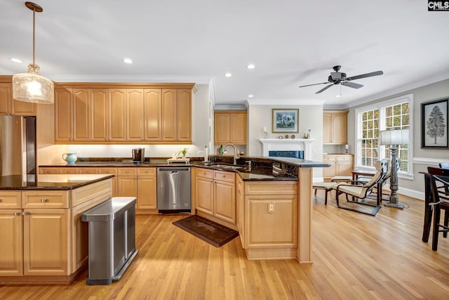 4 High Park Ct, Elgin, SC 29045 - kitchen featuring dishwasher, fridge, a sink, ceiling fan, and crown molding