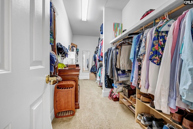 4 High Park Ct, Elgin, SC 29045 - spacious closet with carpet flooring
