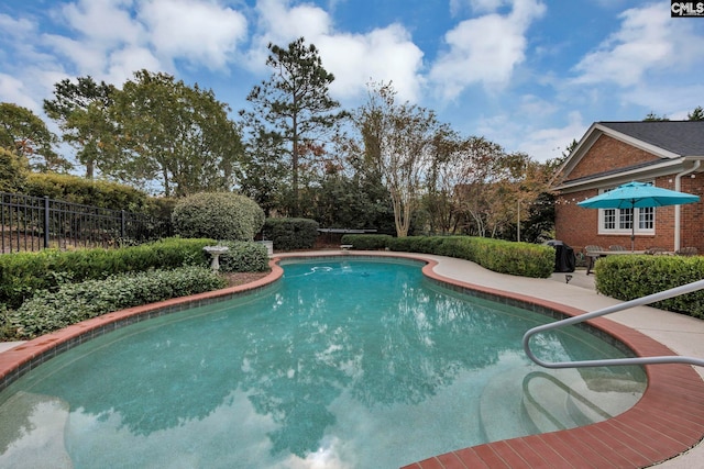 4 High Park Ct, Elgin, SC 29045 - swimming pool featuring a patio area