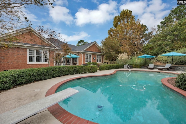 4 High Park Ct, Elgin, SC 29045 - swimming pool featuring a diving board