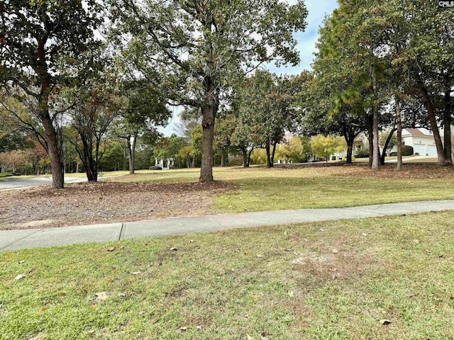 4 High Park Ct, Elgin, SC 29045 - view of community with a lawn