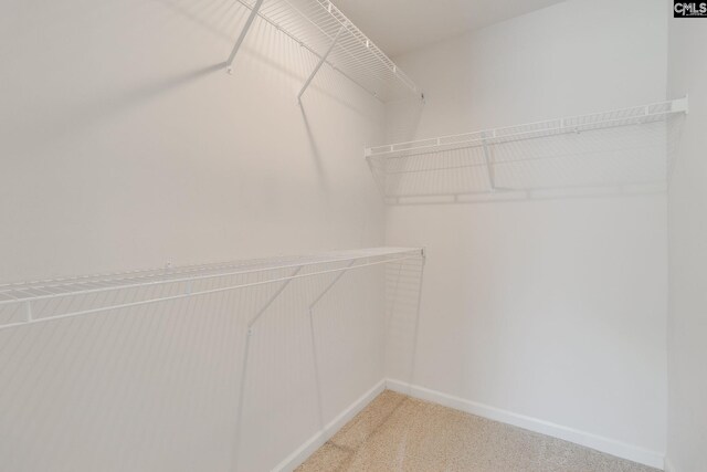 410 Pitchling Dr, Columbia, SC 29223 - spacious closet featuring light colored carpet
