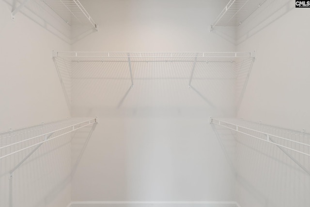 410 Pitchling Dr, Columbia, SC 29223 - view of walk in closet