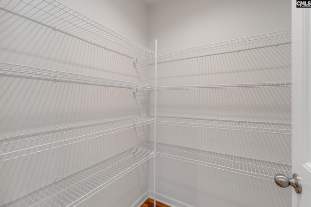 410 Pitchling Dr, Columbia, SC 29223 - view of storage area