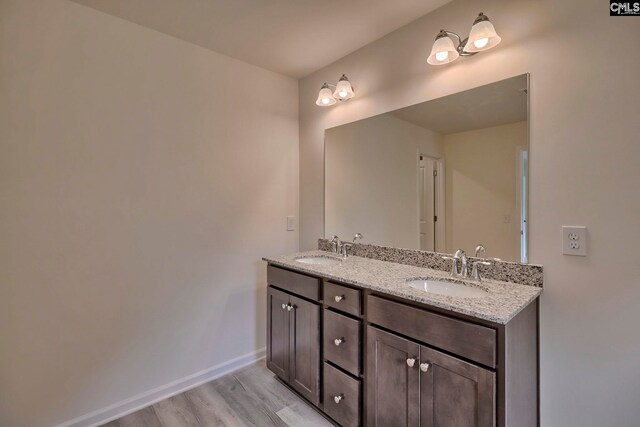 bathroom featuring hardwood / wood-style floors and vanity