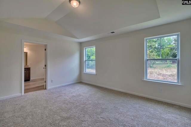 spare room with light colored carpet and vaulted ceiling