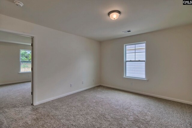 empty room featuring a healthy amount of sunlight and light colored carpet