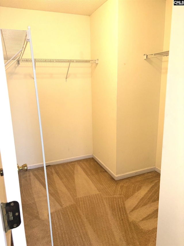 walk in closet with carpet