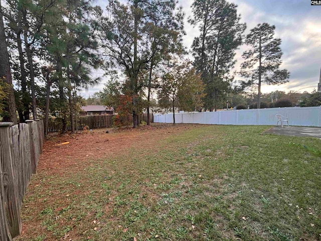 view of yard featuring a fenced backyard