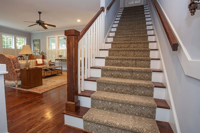 stairway with crown molding, wood-type flooring, and ceiling fan