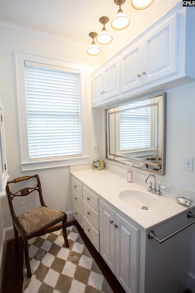 bathroom with vanity, crown molding, and plenty of natural light