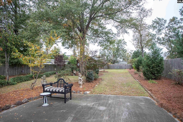 view of yard with a patio area