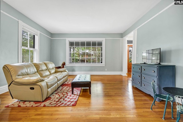 living room with light hardwood / wood-style flooring