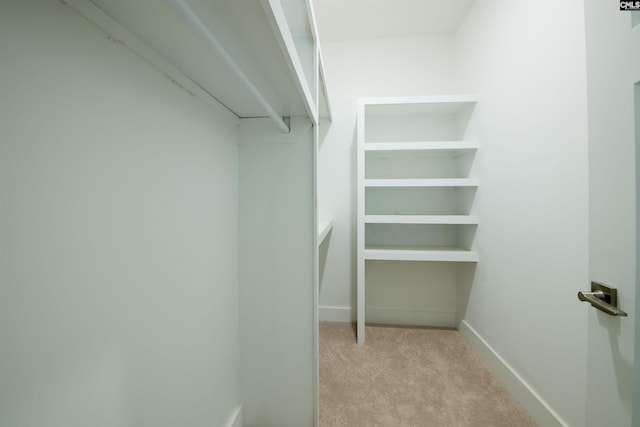 spacious closet with light colored carpet