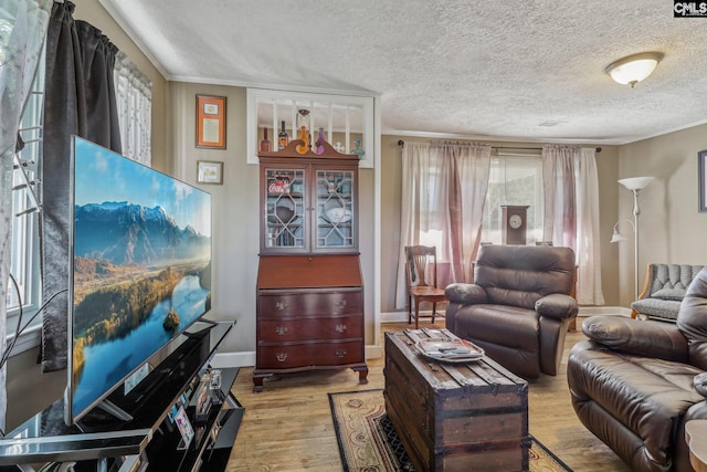 living room featuring ornamental molding, light hardwood / wood-style flooring, and a textured ceiling