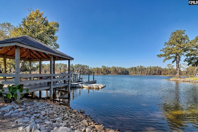 dock area with a water view