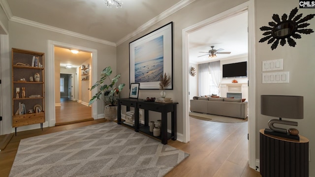 101 Dinkins Place Rd, Blythewood, SC 29130 - corridor with light wood-style floors, ornamental molding, and baseboards