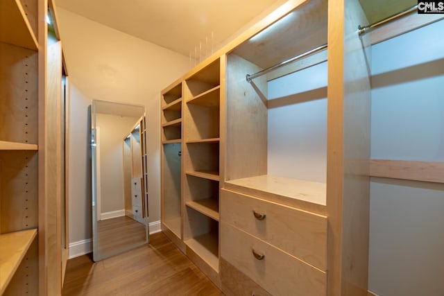 101 Dinkins Place Rd, Blythewood, SC 29130 - spacious closet with wood finished floors