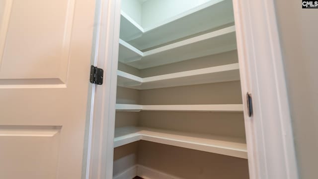 101 Dinkins Place Rd, Blythewood, SC 29130 - view of storage area