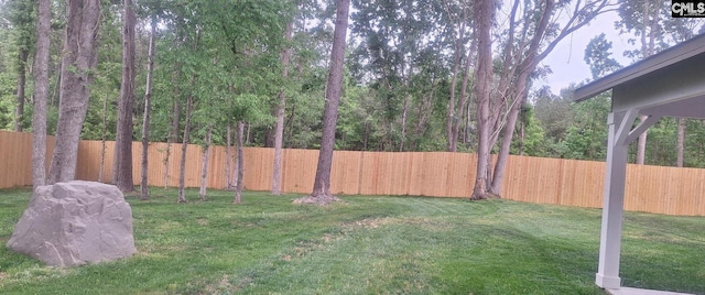 101 Dinkins Place Rd, Blythewood, SC 29130 - view of yard