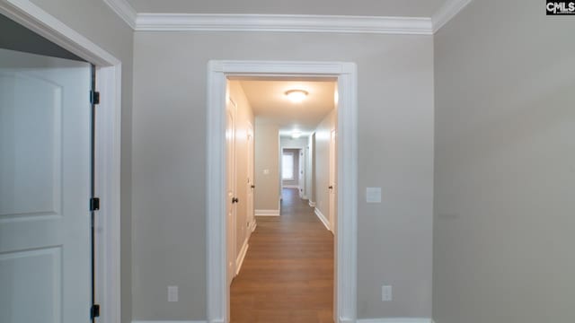 hallway featuring wood-type flooring and ornamental molding