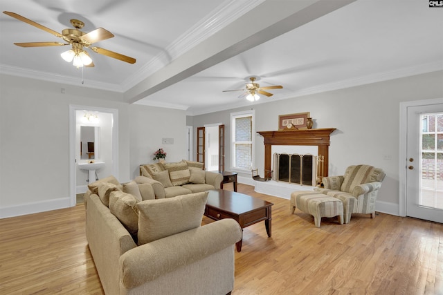 living room with ceiling fan, crown molding, and light hardwood / wood-style flooring