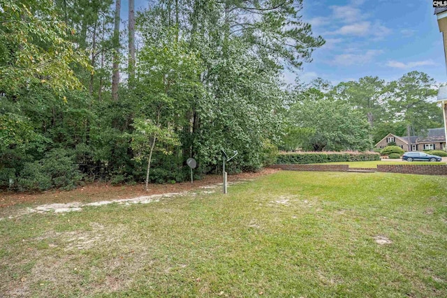2001 Riding Ridge Rd, Columbia, SC 29223 - view of grassy yard