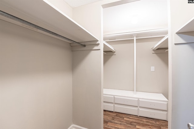 spacious closet with hardwood / wood-style floors