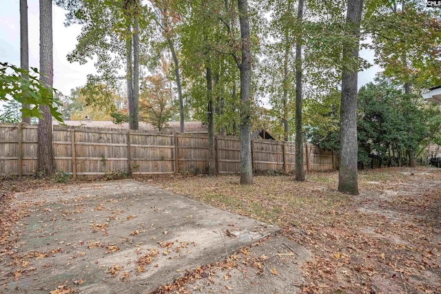 view of yard with a patio area