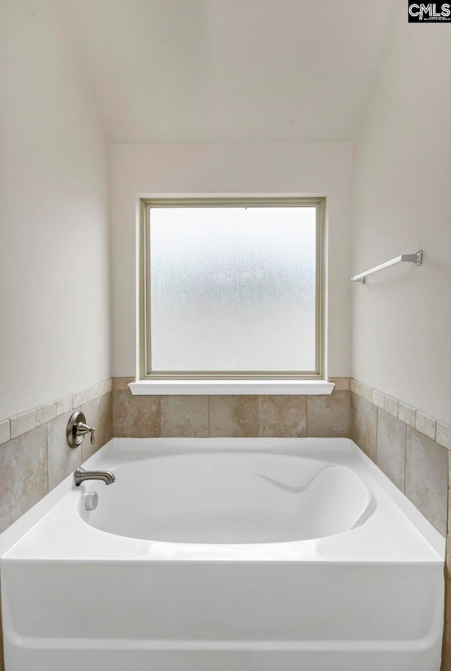 bathroom featuring a healthy amount of sunlight and a bathing tub