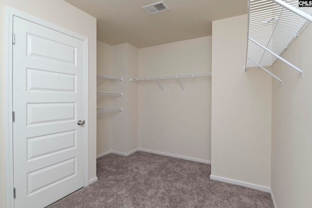 spacious closet featuring light carpet