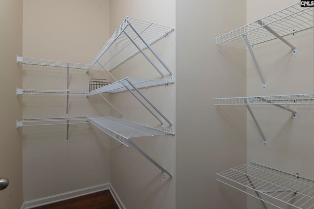 walk in closet featuring dark hardwood / wood-style flooring