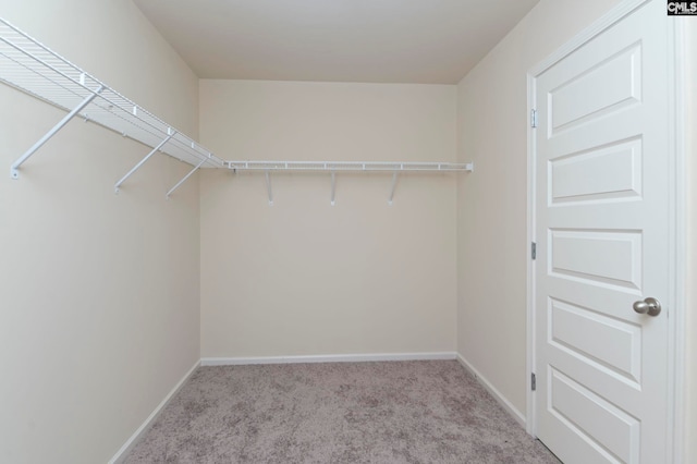 spacious closet featuring light colored carpet