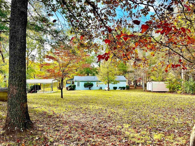 view of yard with a storage unit