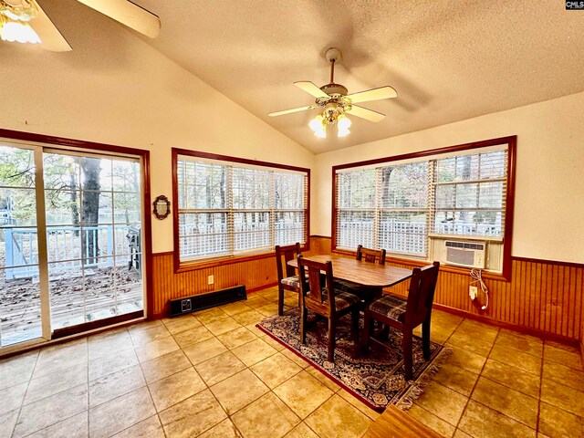 dining room with a textured ceiling, plenty of natural light, and ceiling fan