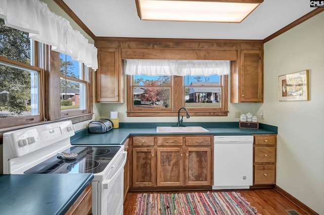 kitchen with sink, crown molding, hardwood / wood-style flooring, and white appliances