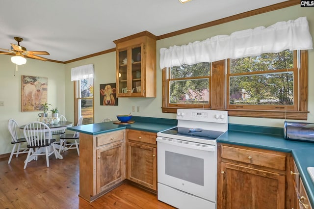 kitchen with kitchen peninsula, crown molding, white range with electric cooktop, light hardwood / wood-style floors, and ceiling fan