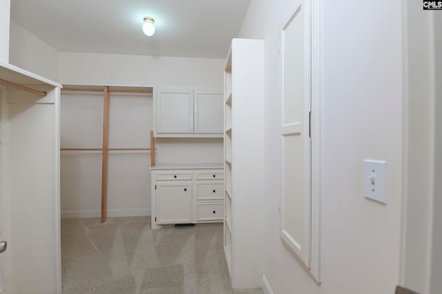 spacious closet featuring light colored carpet