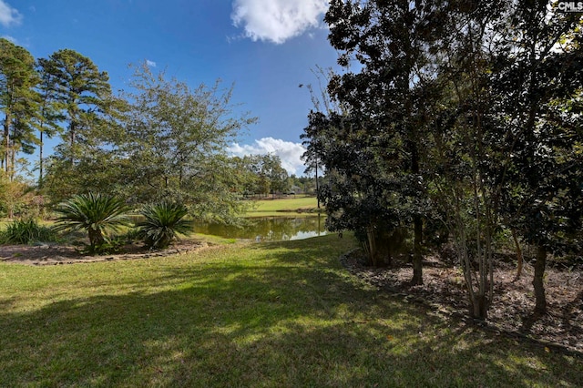 view of yard featuring a water view