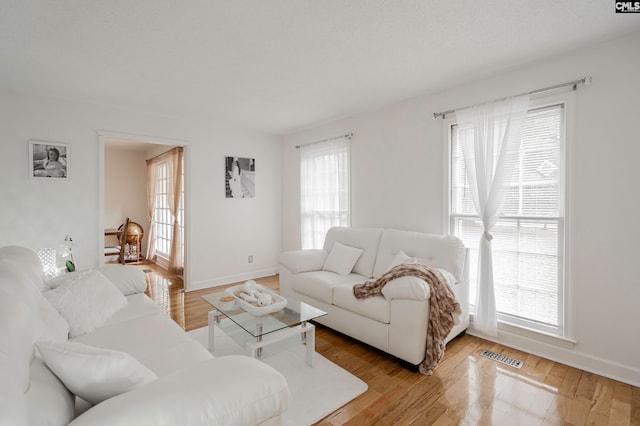 living room featuring light hardwood / wood-style flooring