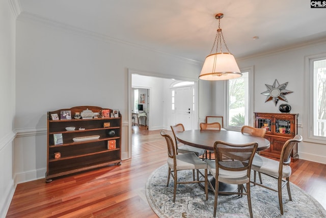 dining room with wood-type flooring and ornamental molding