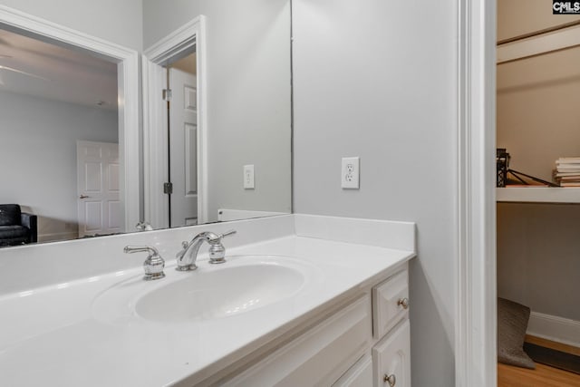 bathroom with vanity and wood-type flooring