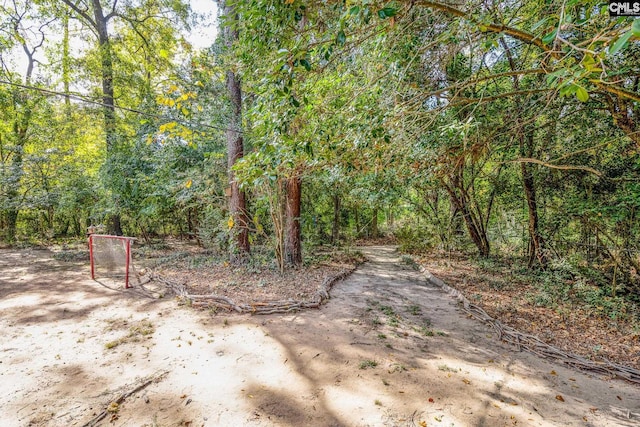 401 Nottingham Rd, Columbia, SC 29210 - view of yard with a forest view
