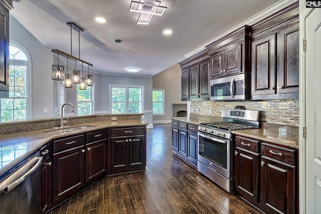 kitchen with hanging light fixtures, appliances with stainless steel finishes, dark brown cabinetry, and dark hardwood / wood-style flooring