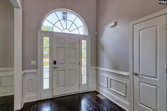 foyer entrance featuring dark hardwood / wood-style floors and a healthy amount of sunlight