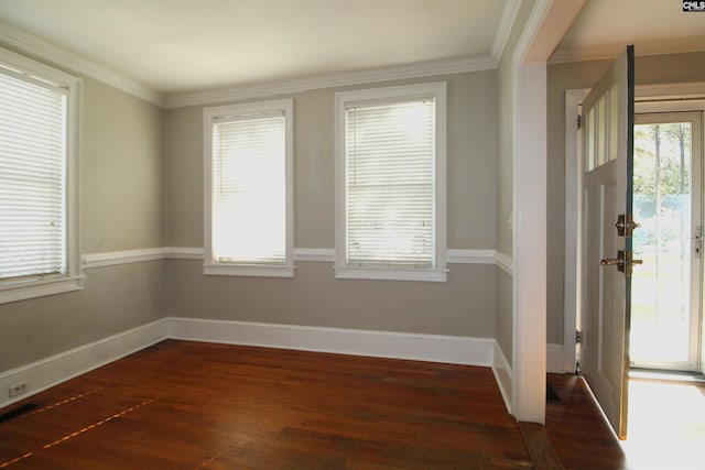 interior space featuring crown molding, a healthy amount of sunlight, and dark wood-type flooring