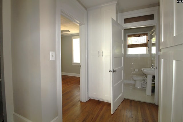 bathroom featuring toilet and hardwood / wood-style floors