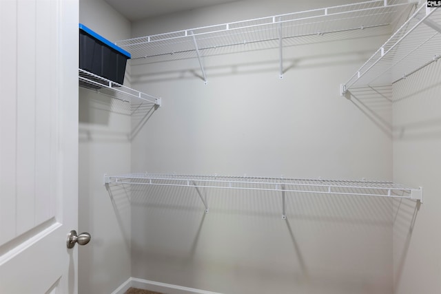 view of spacious closet