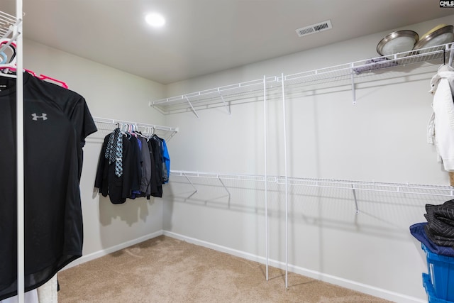 walk in closet with carpet